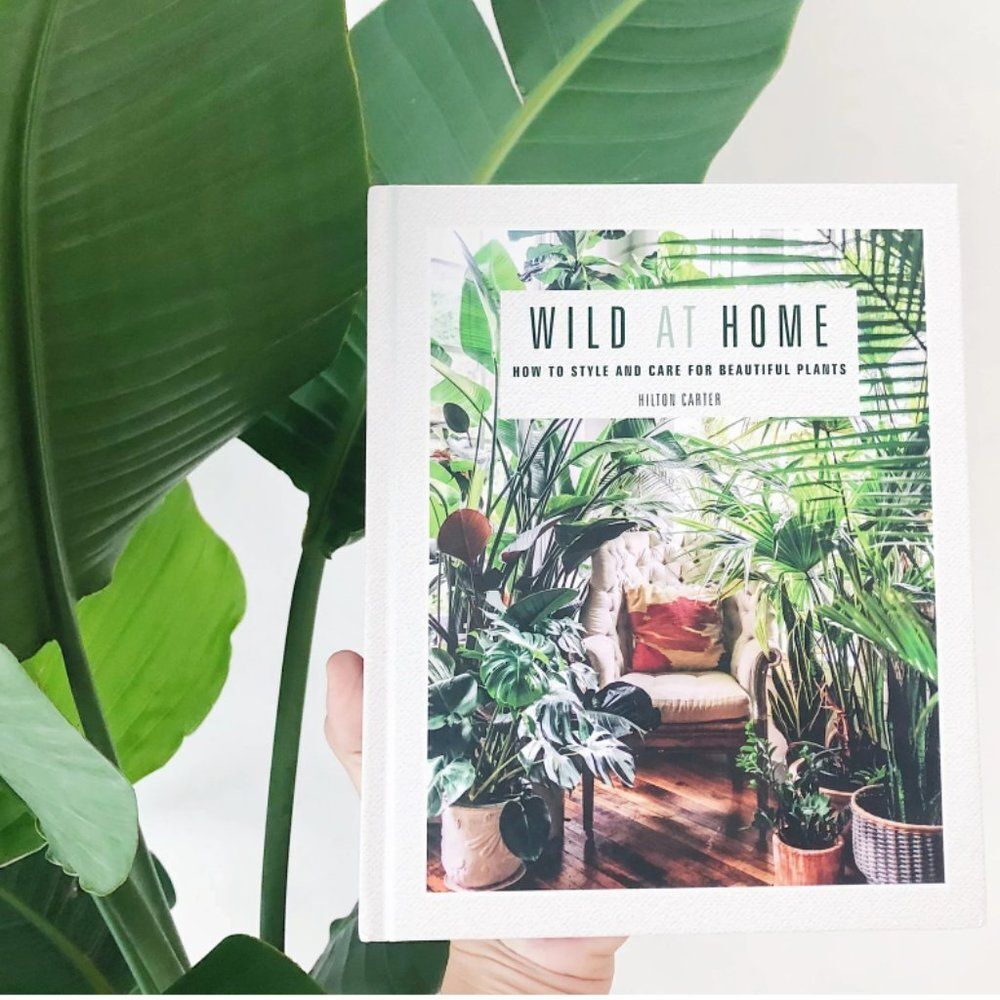 Wild at Home: How to style and care for beautiful plants (hardcover) EUC